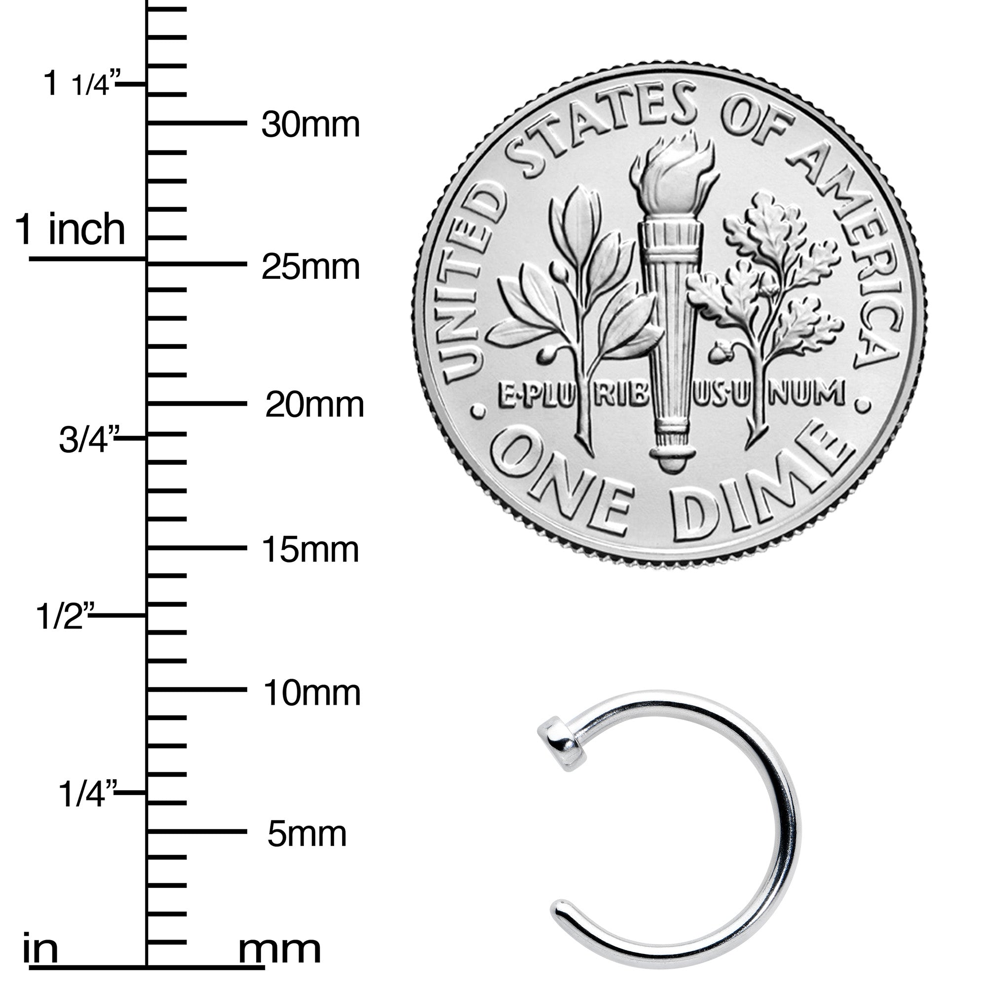 18G 5/16 Stainless Steel Nose Hoop